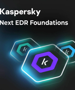 Bản quyền phần mềm Kaspersky dùng cho máy tính Next EDR Foundations SEA 10-14 User 1Y RnPl Lic